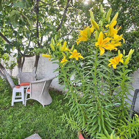 Villa Guma Rastani *