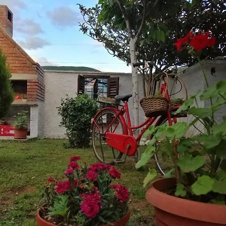 Guma Rastani Mostar